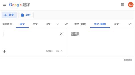 英語翻譯|Google 翻譯